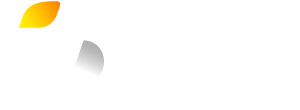 Logo Iplanet White